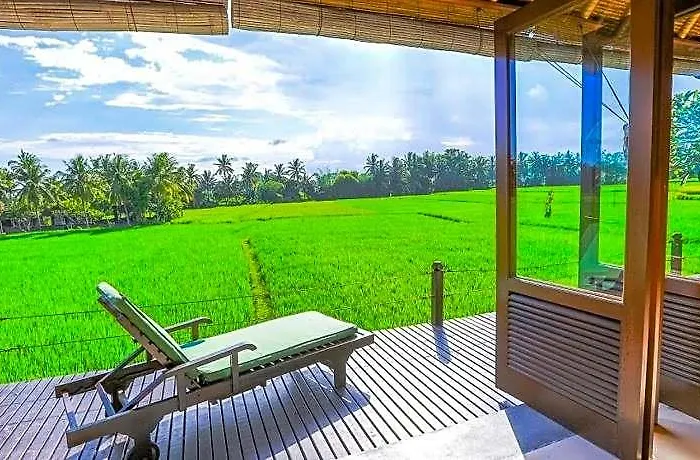 Bali Harmony ホテル ウブド